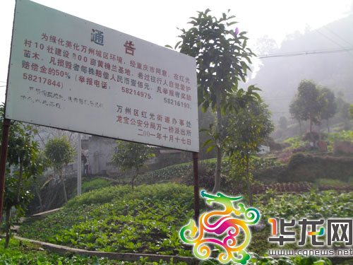 立在村民土里的通告牌 