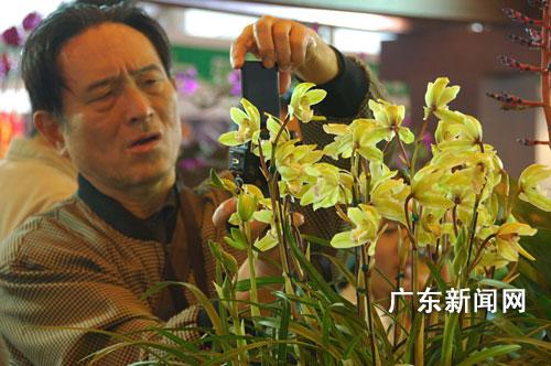 广州：“中国盆栽花卉交易会”百花争艳 