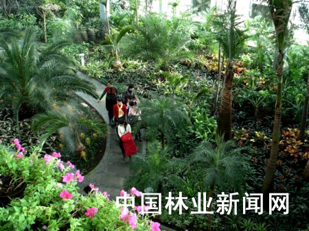 图为企业职工工作之余在园内观赏、休闲。 