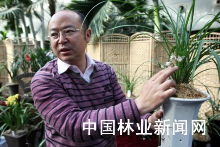 图为云南兰国花业公司董事长李光宏向兰友介绍兰花栽培管理要点。