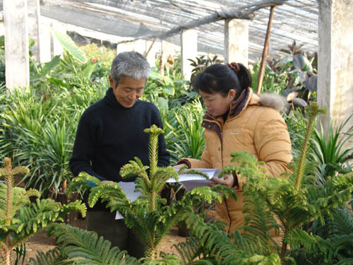 山东：菏泽气象人员服务温室花卉