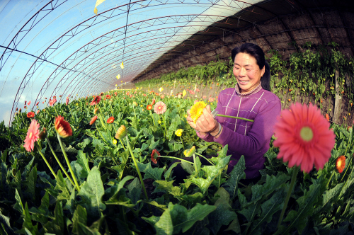 鞍山：“花村”康家村夫妇奔小康