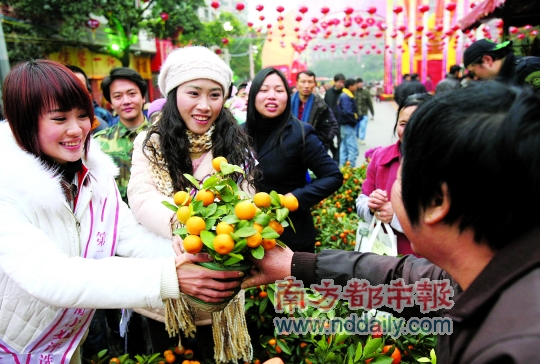 广州迎春花市：年年羊城花似锦 岁岁观花人如潮