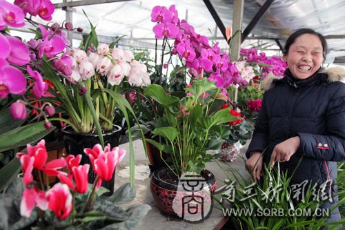 商丘市各大花卉市场的鲜花数量大幅增加