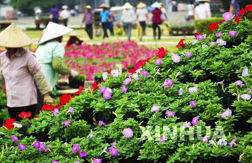 广西南宁百万鲜花迎盛会（组图）