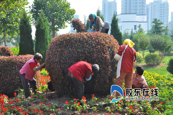 烟台：花卉雕塑烟台苹果亮相街头（图） 