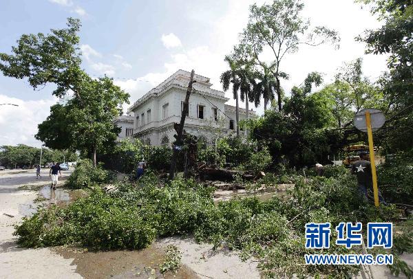 古巴：遭风暴袭击 大树被大风刮断