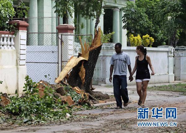 古巴：遭风暴袭击 大树被大风刮断