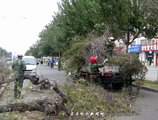 齐齐哈尔：春夏秋冬都将有绿意