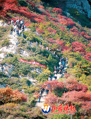 太原：登高望远 崛围山上赏红叶（图） 