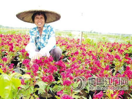 开平鲜花装扮广州亚运