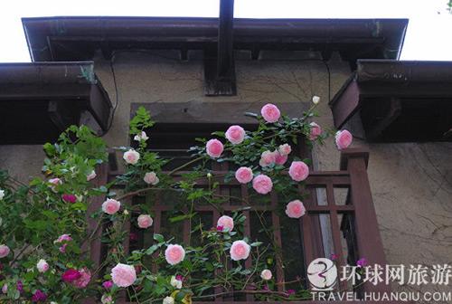 卢森堡花卉小城纽密 独一无二“遮花罪” 