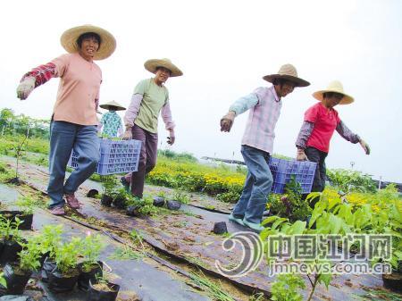 开平鲜花装扮广州亚运