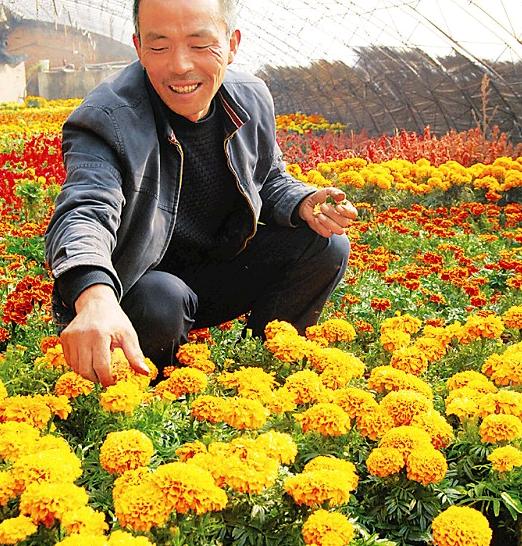 太原：晋源区古城营的苗木花卉“美丽产业”