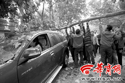 西安市含元路一拉土车撞断树枝 砸中对面来车