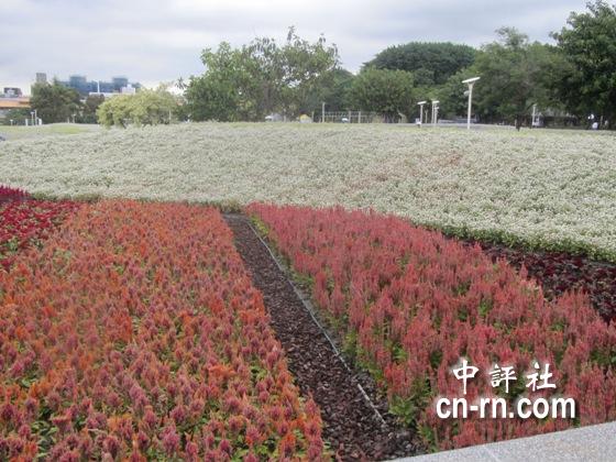 台北花博蓄势待发　千万花卉尽情绽放（图）