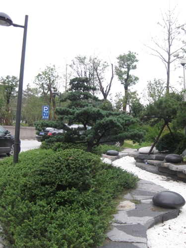 浙江杭州江干区天元大厦（杭州棋院）外部绿化景观