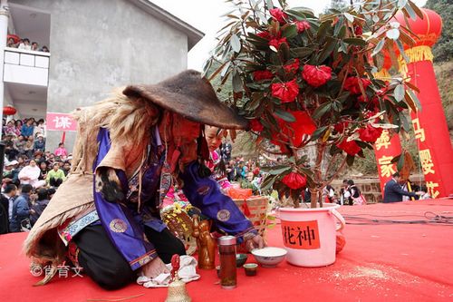 祭司花神