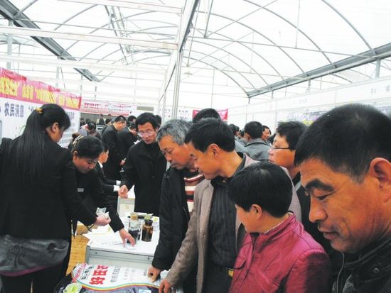 济南：协议成交苗木近1000万株