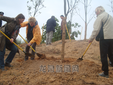 浙江：国际陶艺家到“国际友谊林”植树