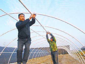 图为种植户正在用新材料搭建大棚