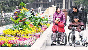 市民正在观赏花池中的仿真花。
