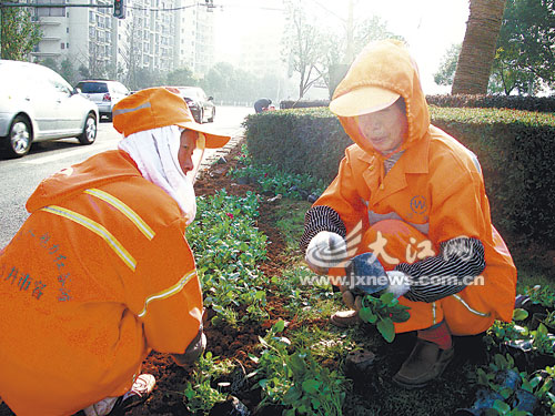 南昌：80万盆鲜花扮靓红谷滩