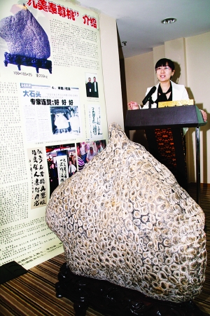 长春“九美奉尊桃”金钱石 在北京拍出490万（图）