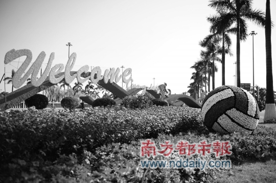 满城鲜花何处去 惜花街坊盼接手