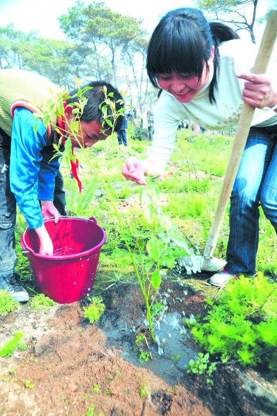 “全民动员、绿化晋江”植树造林活动在晋江掀起热潮。