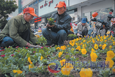 浙江玉环：姹紫嫣红迎元旦