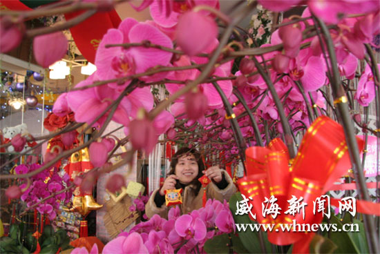 威海：春节前许多花店鲜花旺销