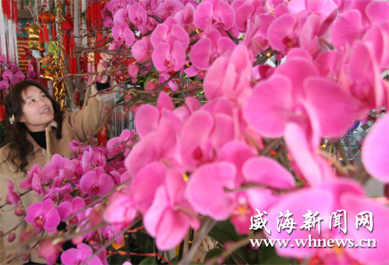 威海：春节前许多花店鲜花旺销