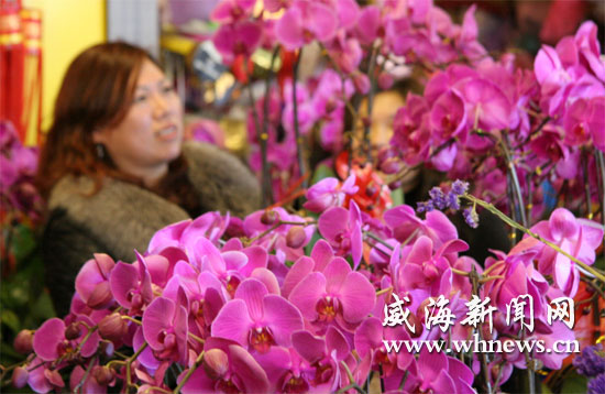 威海：春节前许多花店鲜花旺销