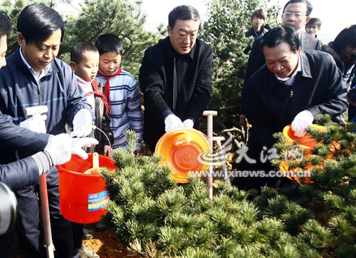 南昌：上班首日万人植绿 红土地上增添青翠（图）
