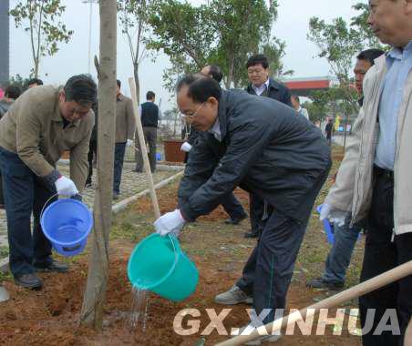 节后以来 广西各地掀起“大种树”活动高潮