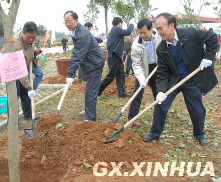 节后以来 广西各地掀起“大种树”活动高潮