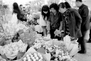 昆明：节后花价遭"滑铁卢" 玫瑰每枝由1.5元跌至0.5元