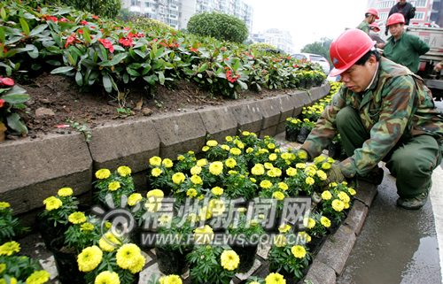 福建：3万盆鲜花装点南台岛（图）