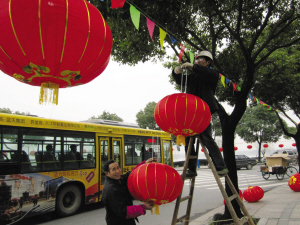 浙江:大红灯笼高高挂 花卉盆景贺新春