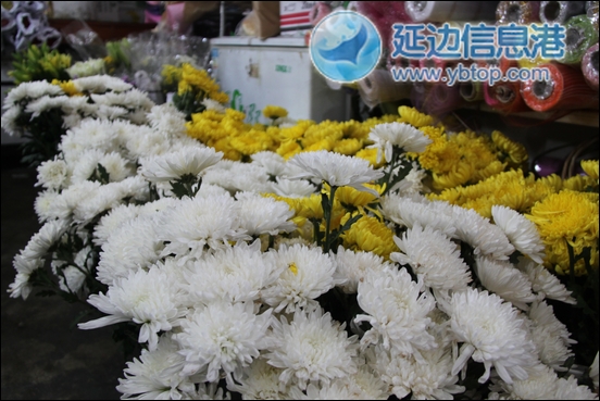吉林：“低碳”清明节催生鲜花市场无限商机