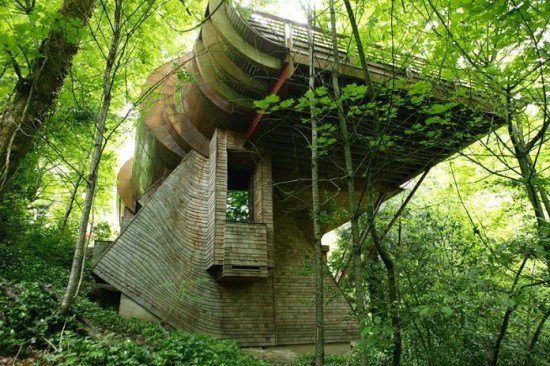 图文：美国建筑师树林中建造奇特木屋