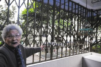 浙江：大树挡住阳光 89岁的朱阿婆深受其扰