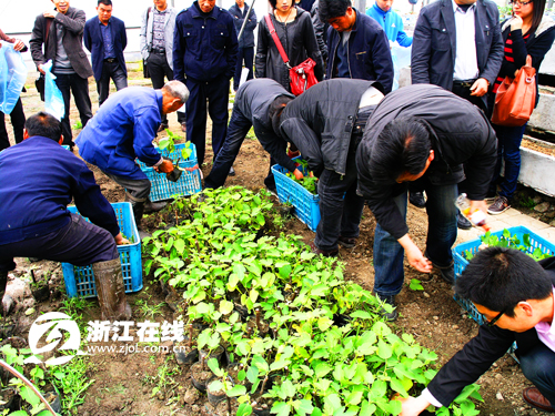 现场学习