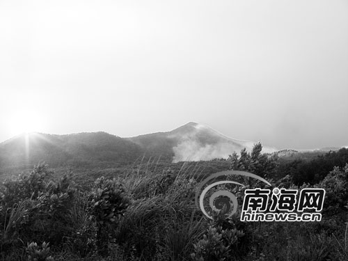 400多亩林地被毁 屯昌定安交界山火肆虐21小时(图)