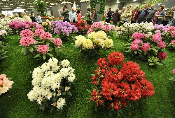 第34届根特花展在比利时西部城市根特开幕