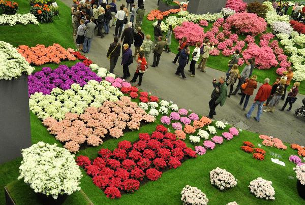 第34届根特花展在比利时西部城市根特开幕
