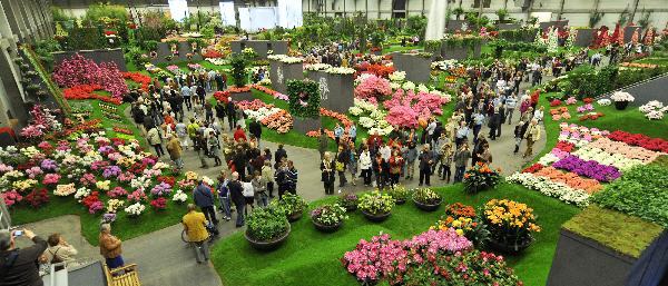第34届根特花展在比利时西部城市根特开幕