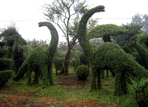 植物造型生态,环保,具有广阔前景