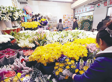 清明前花卉价格有所上涨 地产菊花不敌外来“姐妹”